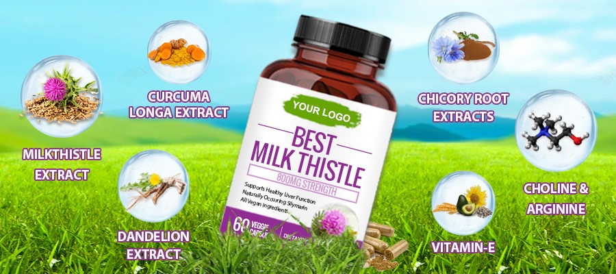 Best milk thistle capsules oem supplier Best milk thistle capsules oem supplier